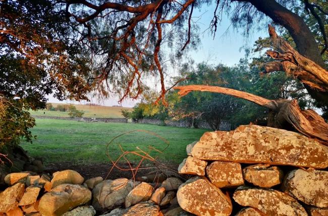 Locacion Cinematografica