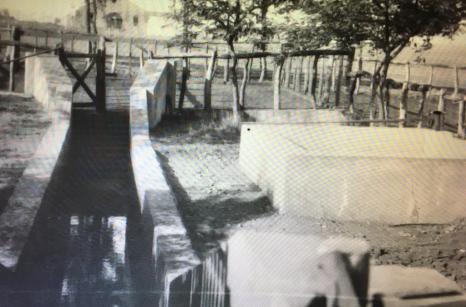 El baño del ganado. Cuidado de la sanidad, instalación aún en uso.